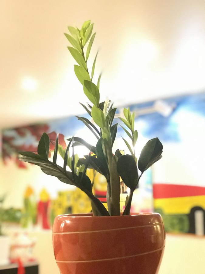 The Lily Hostel & Coffee Ho Chi Minh-stad Buitenkant foto
